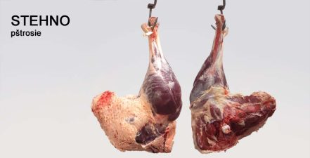 Pštrosie stehno s kosťou