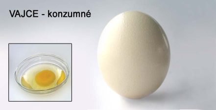 Vajce - konzumné